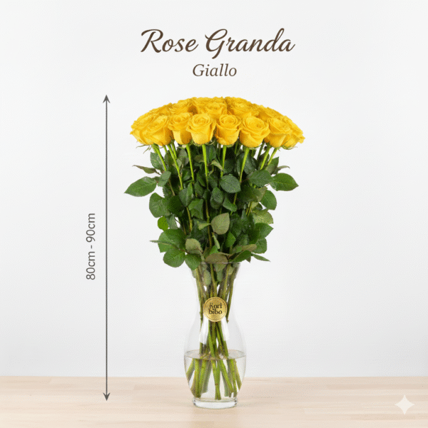 Rosa Grande 80cm - 90cm