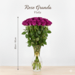 Rosa Grande 80cm - 90cm