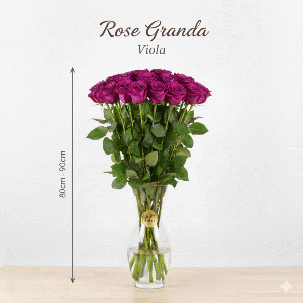 Rosa Grande 80cm - 90cm