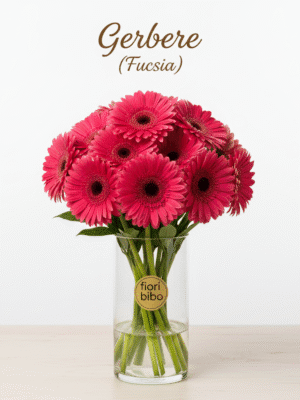 Gerbera Fresca (Singolo Stelo)