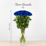 Rosa Grande 80cm - 90cm