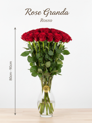 Rosa Grande 80cm - 90cm