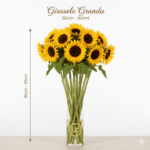 Girasole Fresco (Singolo Stelo)