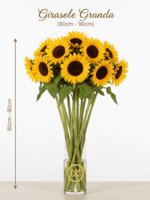 Girasole Fresco (Singolo Stelo)