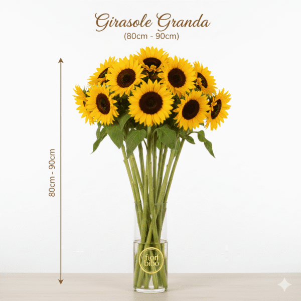 Girasole Fresco (Singolo Stelo)