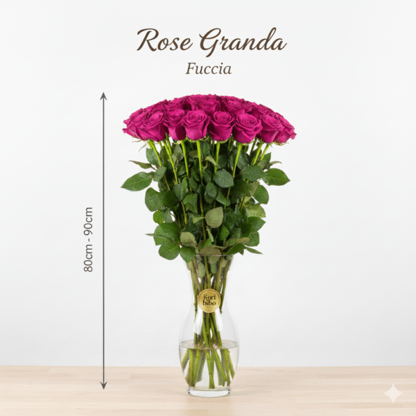 Rosa Grande 80cm - 90cm