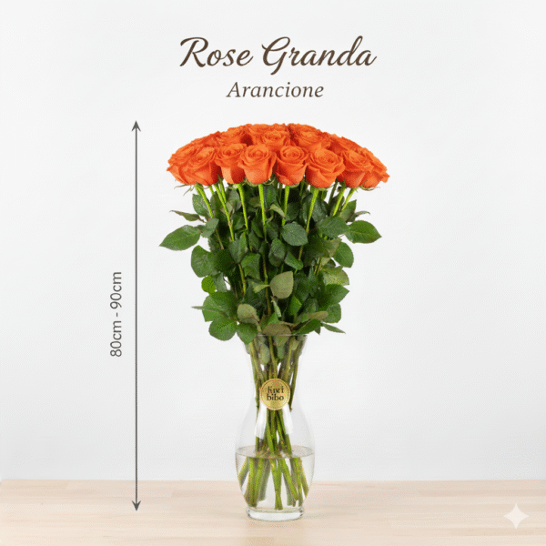 Rosa Grande 80cm - 90cm