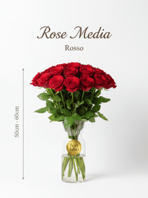 Rosa Media 50-60cm (Singolo Stelo)