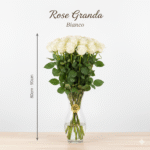 Rosa Grande 80cm - 90cm