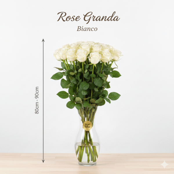 Rosa Grande 80cm - 90cm