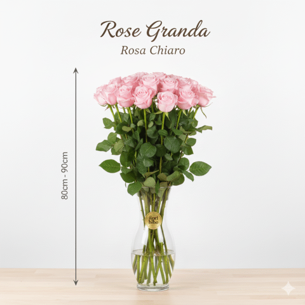 Rosa Grande 80cm - 90cm