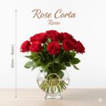 Rosa Corta 40cm (Singolo Stelo)