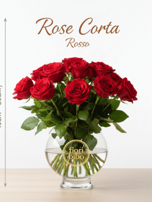 Rosa Corta 40cm (Singolo Stelo)