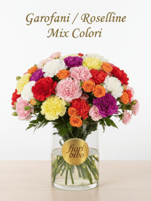 Mazzo di Garofani e Roselline