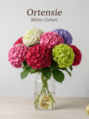 Ortensia Premium (Singolo Stelo)