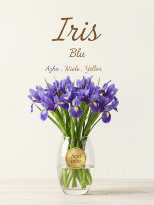 Iris (Singolo Stelo)