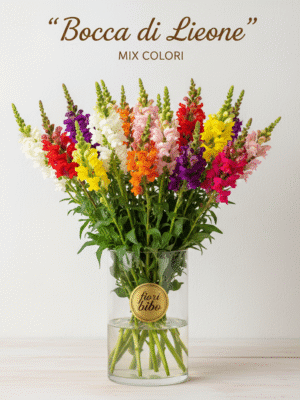 Bocca di Leone (Singolo Stelo)