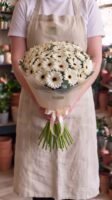 Bouquet "Gerbera Bianche Purezza" – Gerbere Fresche a Cupola – Fiori Bibo