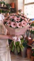 Bouquet "Gerbera Rosa Tenerezza" – Gerbere Fresche a Cupola – Fiori Bibo