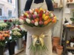 Bouquet "Tulipani Misto Arcobaleno" – Tulipani Freschi a Cupola – Fiori Bibo